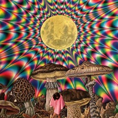 Raving Enchanted