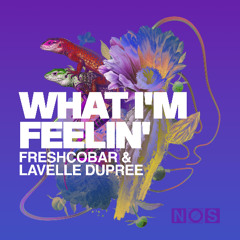 Premiere: Freshcobar & Lavelle Dupree - What I'm Feelin' | NOS Recordings