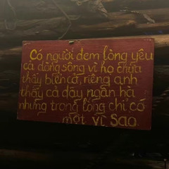 Đợi anh đến hoa cũng tàn (Thái Hoàng)