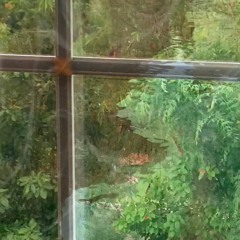 Meditation 9 (video on youtube)
