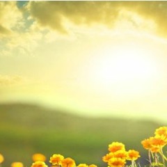 I Give You All Of Me