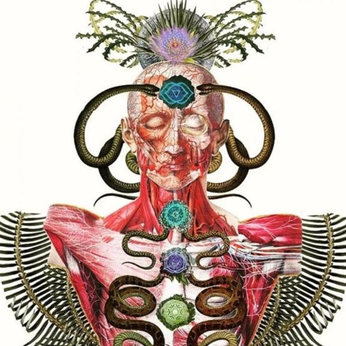 RodVasc (BR) - Deep Introduction/Original Mix