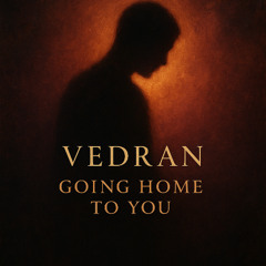 Vedran - Going Home to You