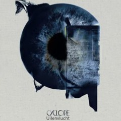 Cyclope" Bloedrood" uit Uilenvlucht met Vercampt Lode en Jean-Philippe Poncin