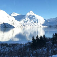 Review Special Price Winter - Wildlife & Turnagain Arm Tour