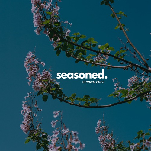 Toadstool Ngema - Seasoned - Spring 2023