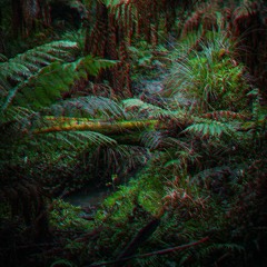 Excursion A : Inhalation - Mastered