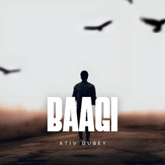 Baagi