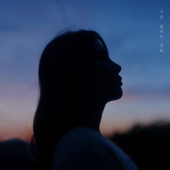 차가을 - 지금 울리는 전화