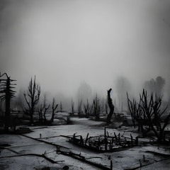 Experiment Java Script