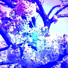 君がくれたもの（Zone）