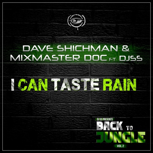 Dave Shichman & Mixmaster Doc - I can taste rain (ft. DJ SS) / Back to Jungle vol.2 LP / clip