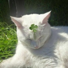 4 leaf clover ft. framtid & dom! [recycleBin + rodmadeit]
