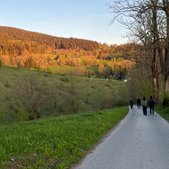 Sarahtonin on Do!! You!!! radio - 23.04.25