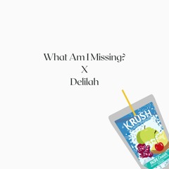 What Am I Missing? x Delilah (Krush Edit)