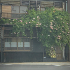邂逅