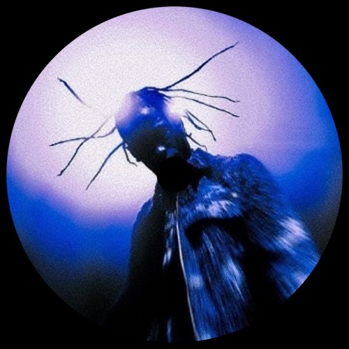 Find Time - Rhys Ducker