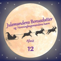 AFSNIT 12: Julemandens Bonusdatter - og Honningkagemandens hævn / Radio Viborg