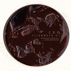 Weasel 909 & Flæmish Lion - Schokoladenstückchen [CE.Q02]