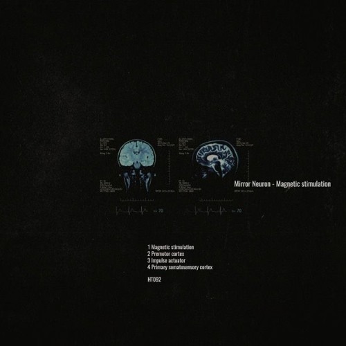 Mirror Neuron - Premotor Cortex [Premiere I HT092]
