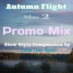 Autumn Flight ,Vol.2 Promo Mix . (Various Artists, 2021)