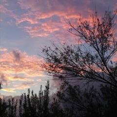 SleepDealer (instrumental)