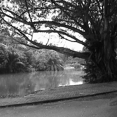 مصطفى الربيعي - لاتناقش