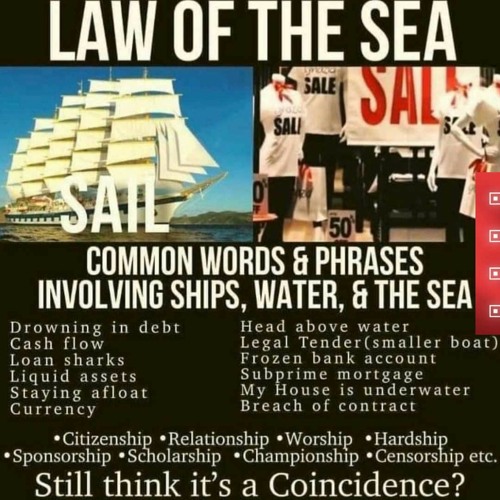 Built To Enslave: Corporations, Persons & A Debt Money System-Take Back Your Freedom
