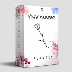 Noah Kammer - "FLOWERS" FREE CHILL-HOP SAMPLES