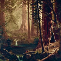 Cathedral Forest (Sleeping in the Forest)