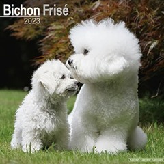 FREE PDF 🖍️ Bichon Calendar - Bichon Frise - Dog Breed Calendars - 2022 - 2023 wall