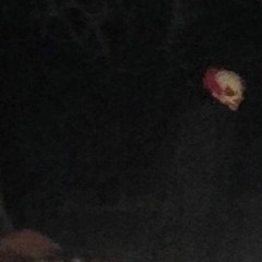 Lost White Out Halloween song clip (Bow to the King [haunted clown mix])