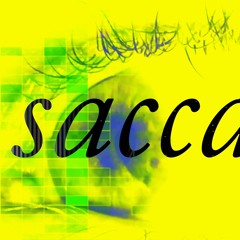 saccades