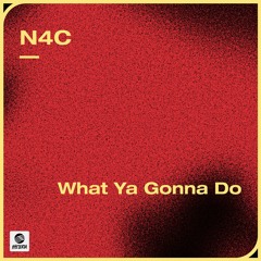 N4C - What Ya Gonna Do [Hysteria/Spinnin Rec]
