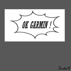 OK GARMIN !