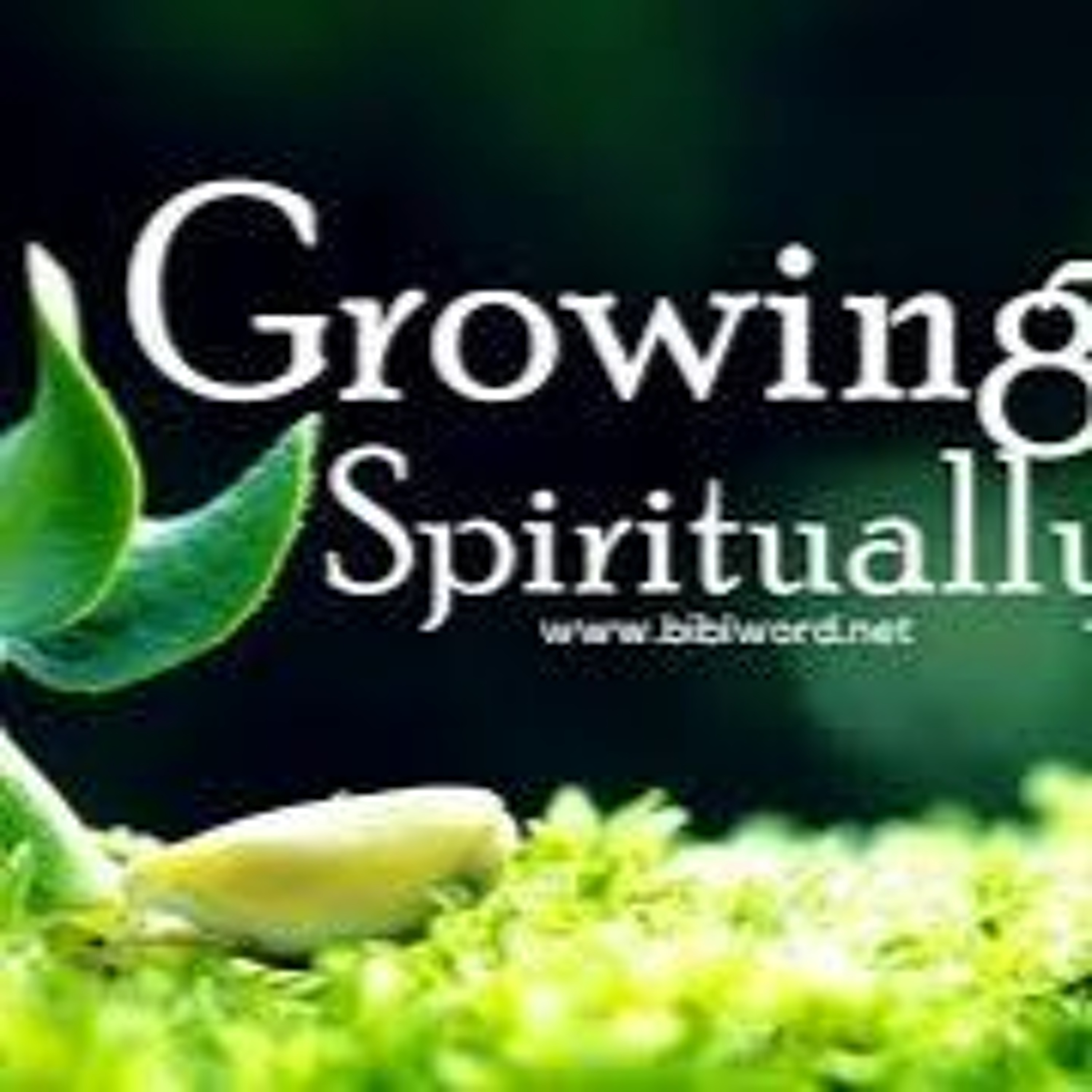 HOW TO GROW SPIRITUAL (Apostle Emmanuel A Adjei)