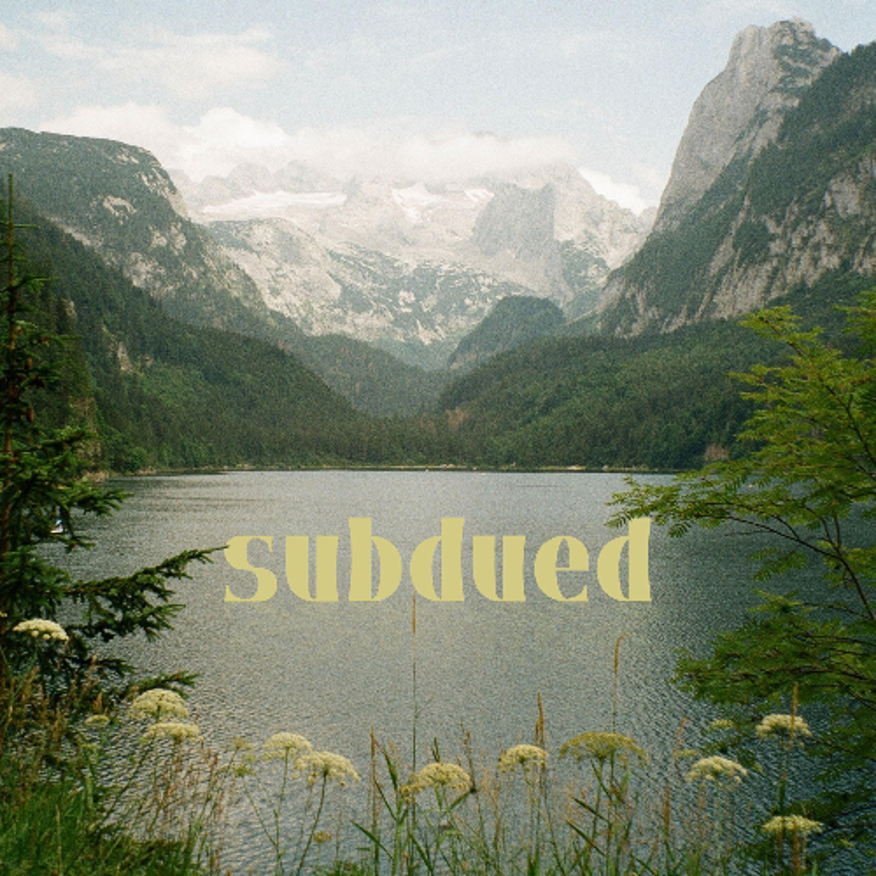 Subdued episode artwork