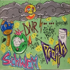 ThePercsOfBeingAWallflower [prod. Klimlords] - Prooph & Schwem