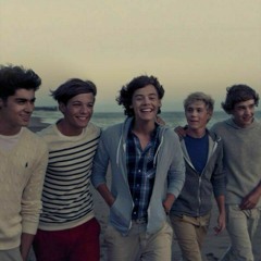 Live While We're Young Remix x The Nights