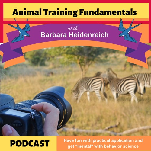 37 - The Details are in the Data