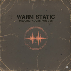 Warm Static - Melodic House | Instrumental DJ Set | FreeDL | CCBY