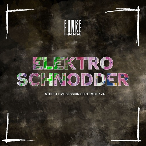 F.U.N.K.E - ELEKTROSCHNODDER (GreenVelvet, DaxJ, Josh Wink and others) Live Dj Mix 4 Decks Sep24