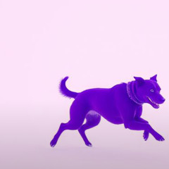 Prayer of the Purple Pulse