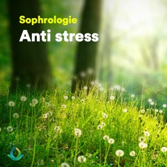 Sophrologie Relaxation Anti Stress
