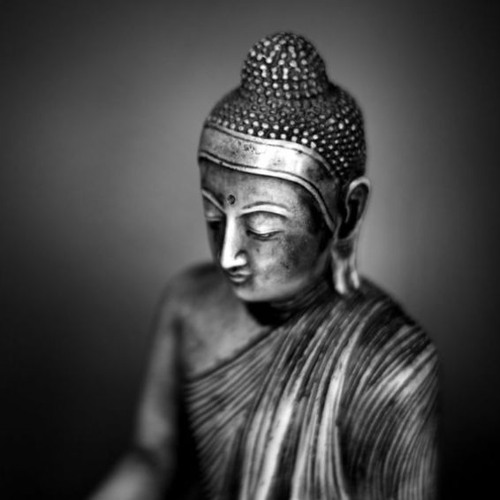 T⨋₼₱L⨊₡ĄS৳ #96 -Leorion II The Kakao Sessions