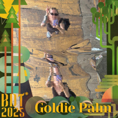 Goldie Palm @ Bucht der Träumer* 2025 | Strandflitzer