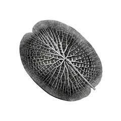 Chronic Shift, Pt. 2 (feat. Robin Hayward, Martin Taxt & Peder Simonsen)