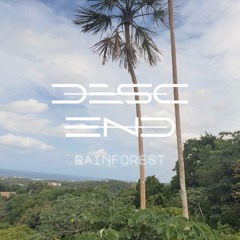 Rainforest