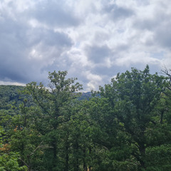 Freedom - Earthical Mind Dub