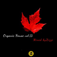 Organic House Vol.13 - Zizzi Selection